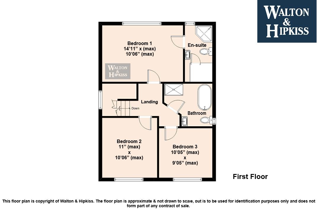 First floor alto.png